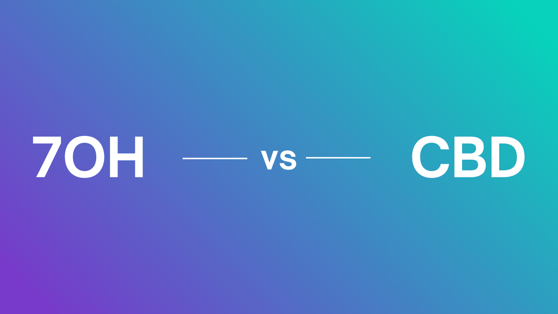 7-OH vs CBD: A Complete Side-by-Side Comparison Guide - 7Stax