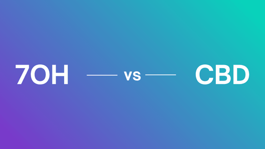 7-OH vs CBD: A Complete Side-by-Side Comparison Guide - 7Stax
