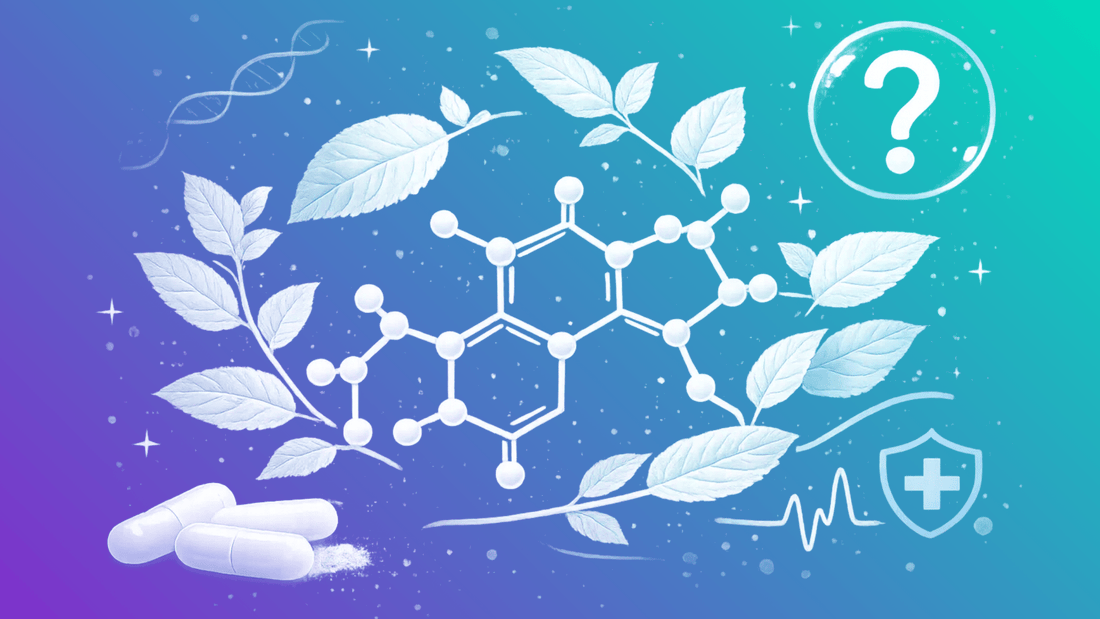 Is Mitragynine(MIT) Safe? - 7Stax