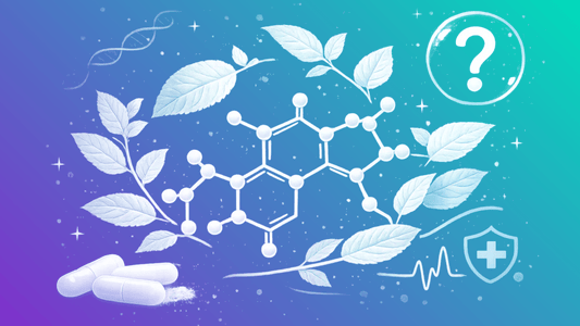 Is Mitragynine(MIT) Safe? - 7Stax