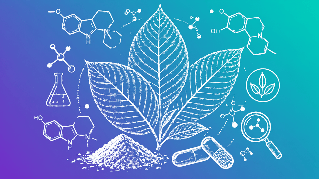 What Are Kratom Alkaloids? A Full Breakdown of Every Active Compound - 7Stax