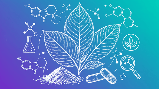 What Are Kratom Alkaloids? A Full Breakdown of Every Active Compound - 7Stax