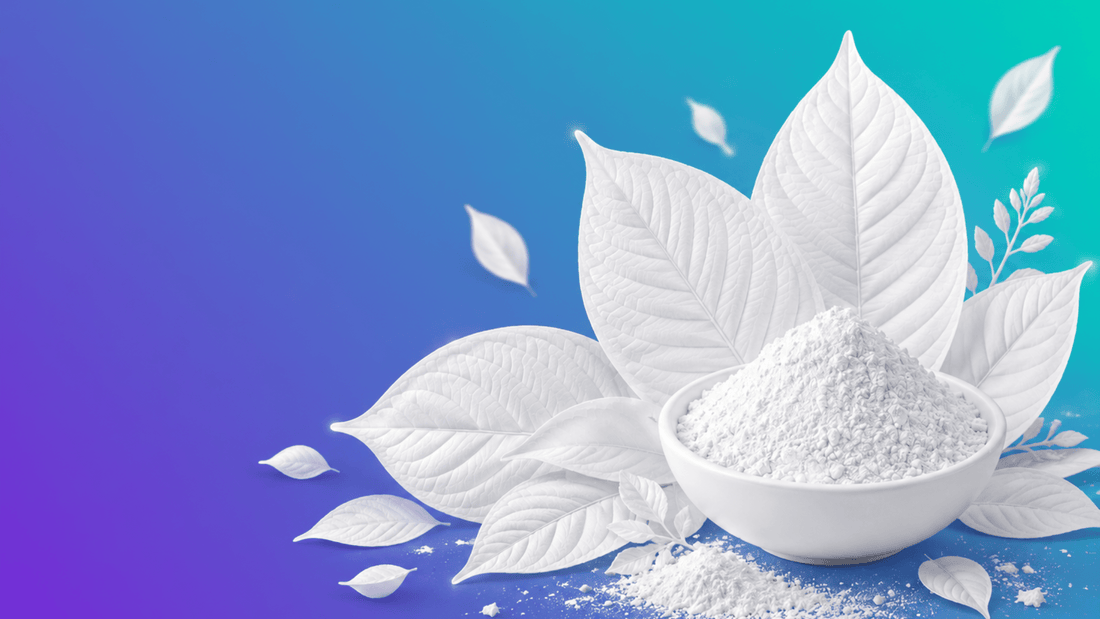 What Is a Kratom Extract and How It Differs from Plain Leaf Powder? - 7Stax