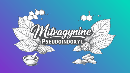 What Is Mitragynine Pseudoindoxyl? The Newest Kratom Alkaloid Explained - 7Stax