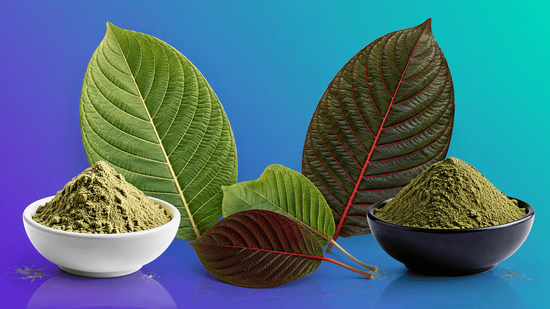 White Vein vs. Red Vein Kratom: Do Alkaloid Profiles Actually Differ? - 7Stax