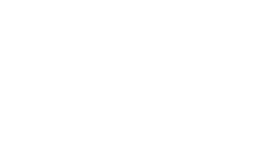 7Stax Brand Logo